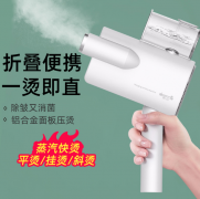 德爾瑪手持式掛燙機家用便攜式小型熨燙機 福利禮品 活動禮品